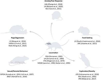 The Role of the Medial Septum—Associated Networks in Controlling Locomotion and Motivation to Move